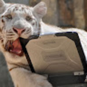 Meet your Posher, Allen